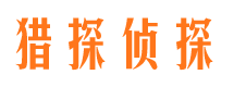 平桥侦探公司